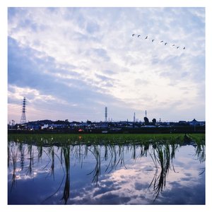 Japanese六十路息子
